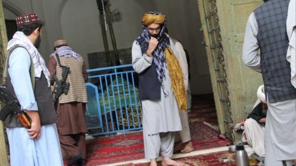 गजनवी की कब्र पर अनस हक्कानी