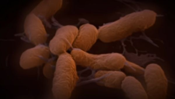 यूनेस्को ने भी किया आगाह