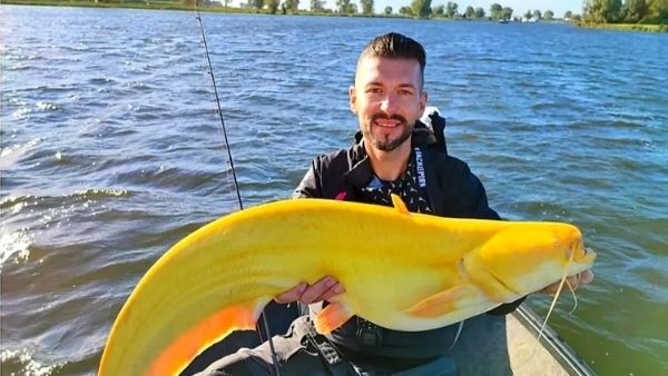 खुद नाव में कूदी दुर्लभ मछली खुद नाव में कूदी दुर्लभ मछली