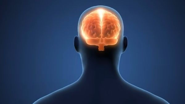 इंसानी दिमाग में परिवर्तन