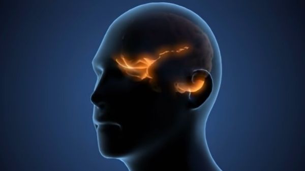 चींटिंयों के साथ तुलना