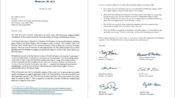 प्रयोगशाला में हैवानियत