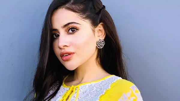 'किसी की परवाह नहीं'