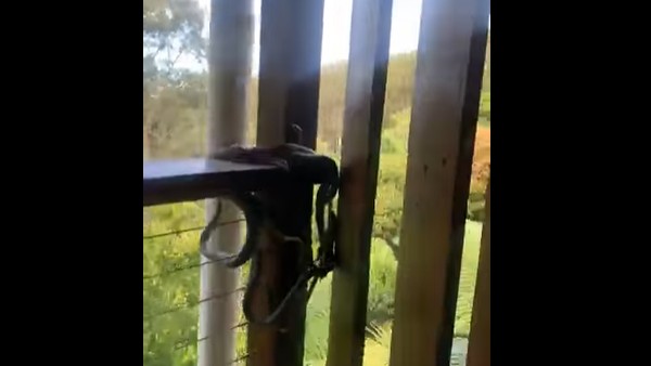 बहुत बार हुआ ऐसा