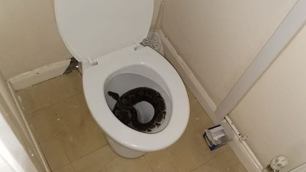 4 फीट था लंबा