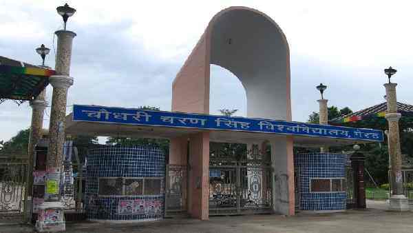 'यूपीएससी और टीचिंग लाइन पर है युवाओं का फोकस'