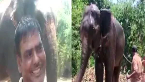 patna goons killed animal lover man patna goons killed animal lover man