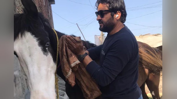 आजम खान की भैंसे, डीएम का 'कुत्ता' ढूंढ चुकी है रामपुर पुलिस आजम खान की भैंसे, डीएम का 'कुत्ता' ढूंढ चुकी है रामपुर पुलिस