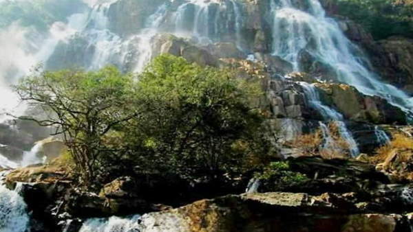 फेमस यूट्यूबर्स को बुलाया गया था