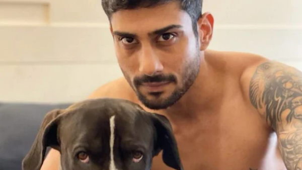 हिकप्स एंड हुकअप्स में क्या है खास हिकप्स एंड हुकअप्स में क्या है खास