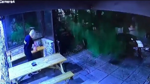 चंद कदमों की दूरी पर भरभरकर गिरा विशालकाय पेड़