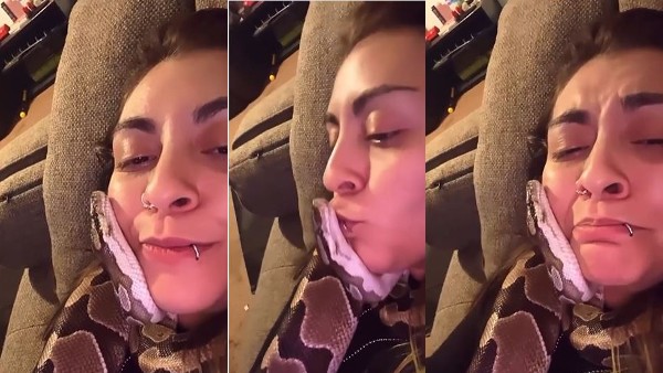  लड़की ने सांप को किया KISS