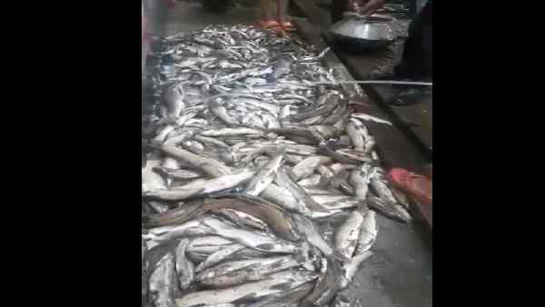 कामेंग नदी की मछली के इस्तेमाल और बिक्री पर रोक