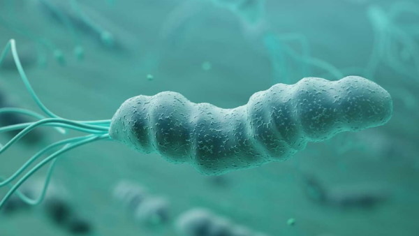 अबु धाबी फूड सेफ्टी ने वीडियो को बताया फेक