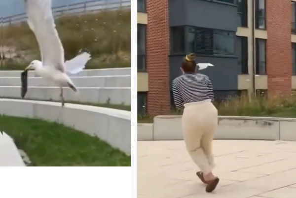 पीछे भागने के बाद क्‍या मिलता है पर्स 