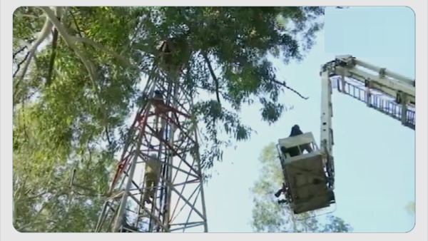 Chandigarh ETT teacher climbed up tower