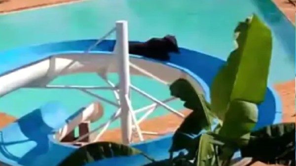 स्लाइड पर चढ़कर फिसलने लगी गाय