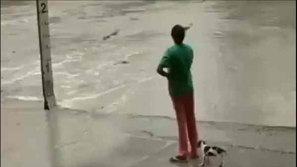महिला ने चप्पल दिखाकर मगरमच्छ को भगा दिया