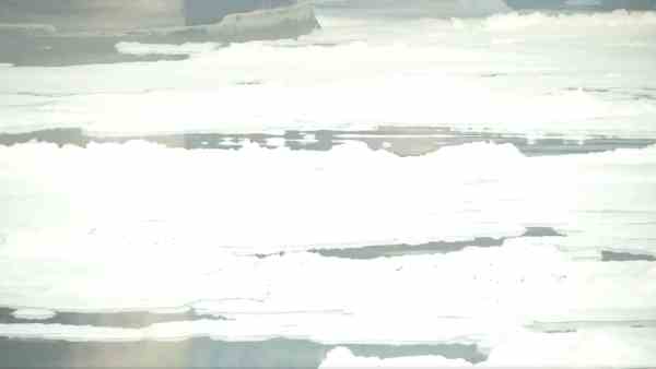 Delhi Water Crisis: Water supply affected in parts of Delhi as ammonia levels increase in the Yamuna river Delhi Water Crisis: Water supply affected in parts of Delhi as ammonia levels increase in the Yamuna river