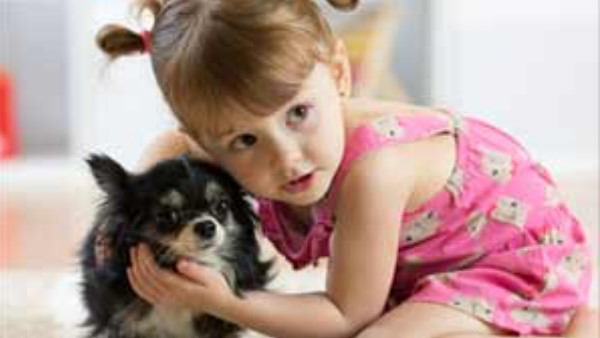 निष्कर्ष