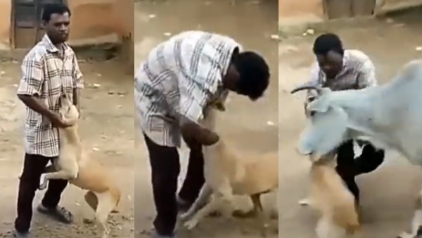 बुरे काम का बुरा नतीजा