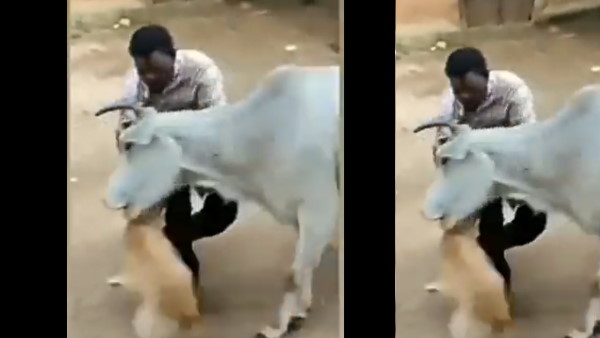 'इंस्टेंट कर्मा' का उदाहरण