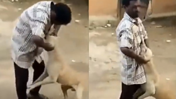 कुत्ते को दर्द में देख लोगों ने लिए मजे