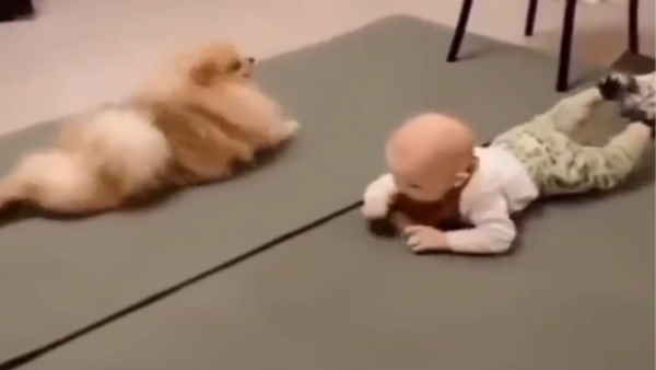 नन्‍हें बच्‍चे को चलना नहीं आ रहा था 