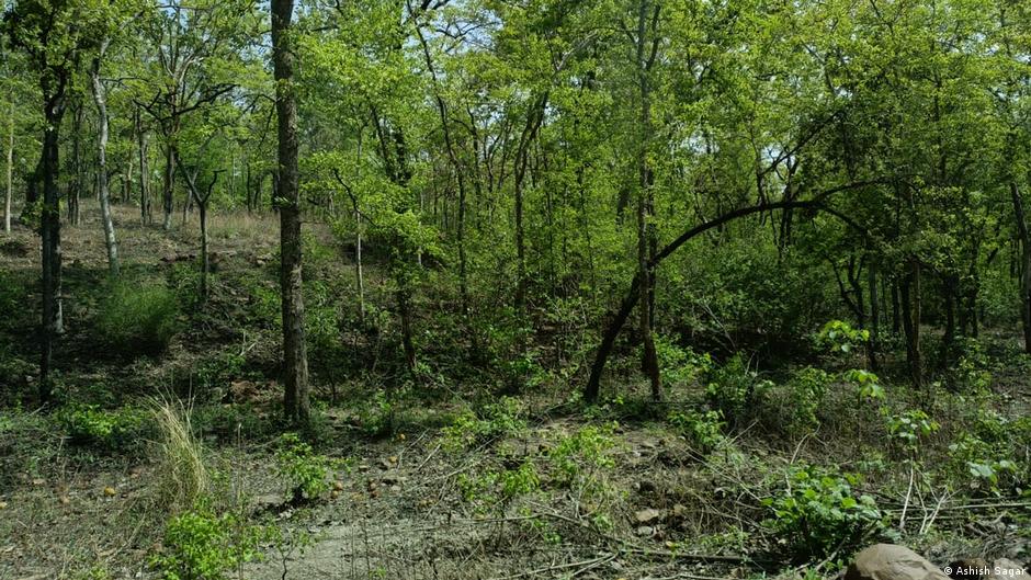 Provided by Deutsche Welle