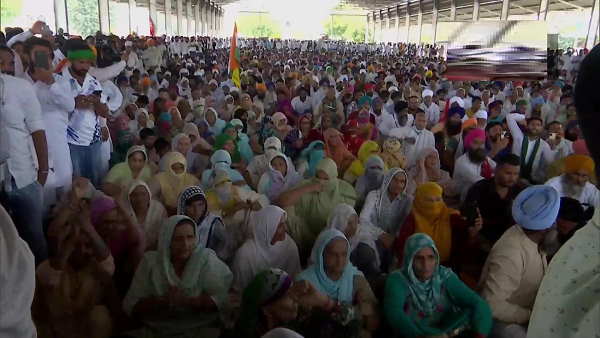 farmers celebration at haryana delhi border after govt taking back the farm laws