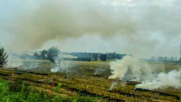 हर साल निकलता है 12,000 डॉलर का कृषि कचरा
