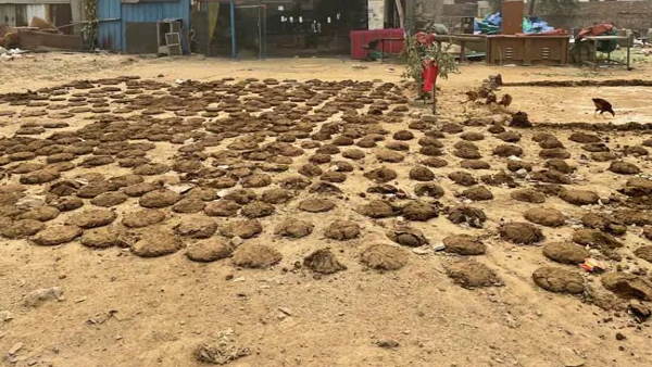 Hindu Protesters Block Namaz Again In Gurgaon Sector 12A, says- will build a volleyball court here