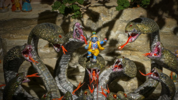 ऑस्ट्रेलिया में ही बनाया वृंदावन ऑस्ट्रेलिया में ही बनाया वृंदावन