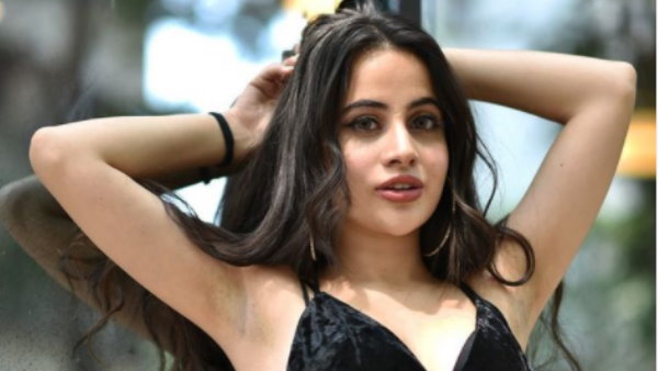 टीवी पर कई शोज में काम कर चुकी हैं उर्फी जावेद