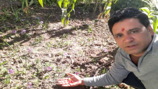 गुणवत्ता की हाेगी जांच