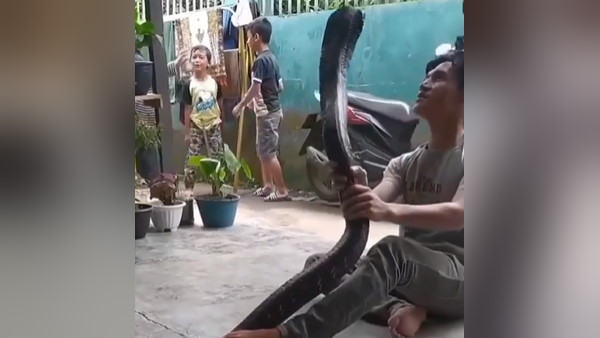 लाखों लोगों ने देखा वीडियो