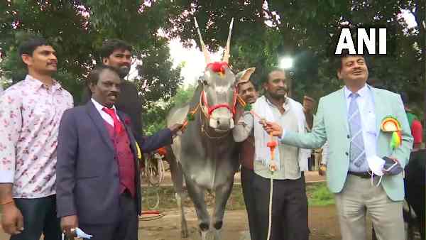 1 करोड़ रुपये का कृष्णा बना आकर्षण का केंद्र