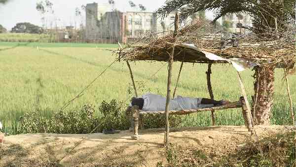 यूएलपीआईएन से क्या फायदा होगा ?