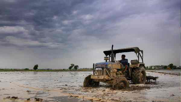 क्यों तैयार हो रहे हैं यूएलपीआईएन ?