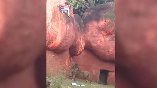 दिल्ली की घटना की दिलाई याद