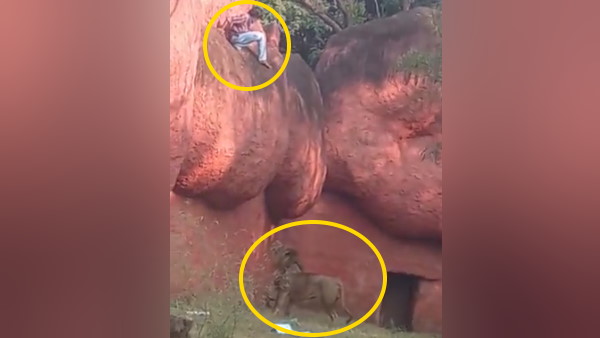 चिड़ियाघर में मचा हंगामा