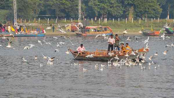 मथुरा में यमुना के पास पहुंचे प्रवासी मेहमान