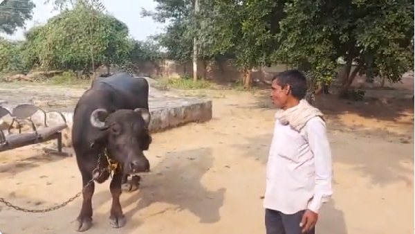 पशु चिकित्सक से कराई किसान की बात