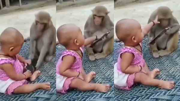 लोग नहीं रोक पर रहे अपनी हंसी