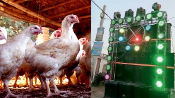 मांगा मुआवजा