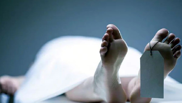 छात्र ने चुपके से खरीदी वेब सीरीज की कॉपी