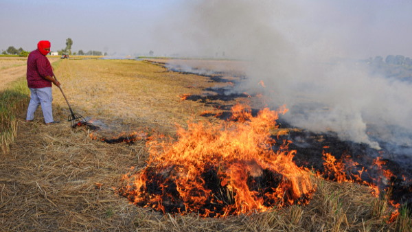 पराली का धुंआ दिल्ली के लिए आफत बन गया