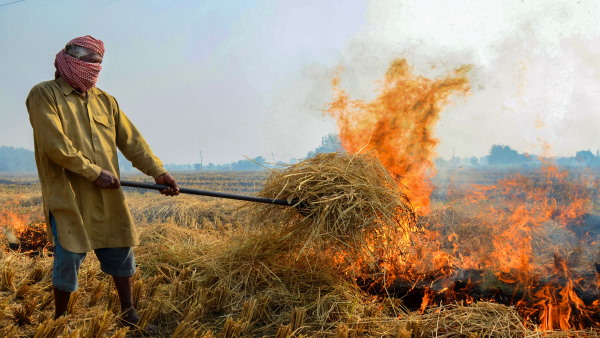 पंजाब भूमिगत जल संरक्षण अधिनियम, 2009 ने बदला धान की बुबाई का समय