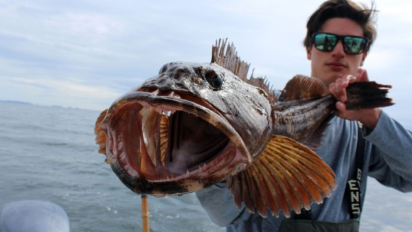 क्या है नाम?