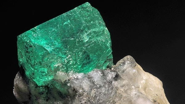 पन्ना को नाम दिया गया 'गैंडा'